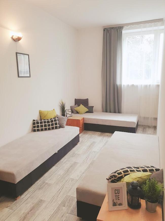 Boleslawiec Hostel Noclegi Экстерьер фото